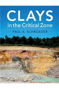 Clays in the Critical Zone