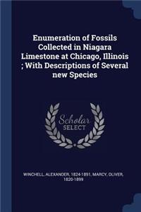 Enumeration of Fossils Collected in Niagara Limestone at Chicago, Illinois; With Descriptions of Several new Species