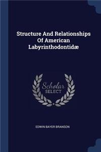 Structure And Relationships Of American Labyrinthodontidæ