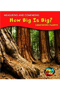 How Big Is Big?