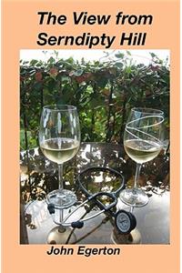 The View from Serndipty Hill