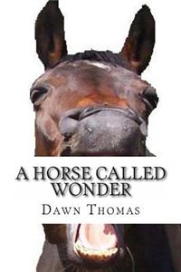 Horse called Wonder