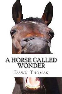 A Horse called Wonder