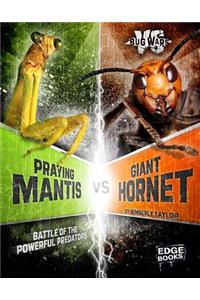 Praying Mantis VS Giant Hornet