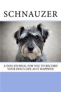Schnauzer