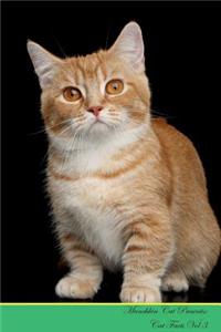 Munchkin Cat Presents: Cat Facts Workbook. Munchkin Cat Presents Cat Facts Workbook with Self Therapy, Journalling, Productivity Tracker with Self Therapy, Journalling, Productivity Tracker Workbook. Includes: Space for Notes, to Do Lists, Brainsto