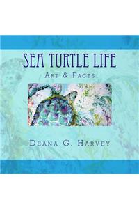 Sea Turtle Life
