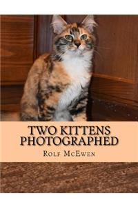 Two Kittens Photographed