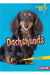 Dachshunds