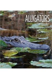 Alligators