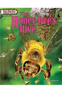 Honey Bee's Hive