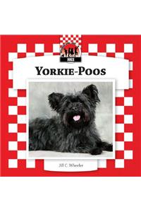 Yorkie-Poos