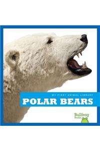 Polar Bears