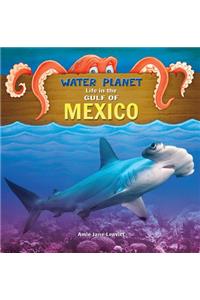 Gulf of Mexico