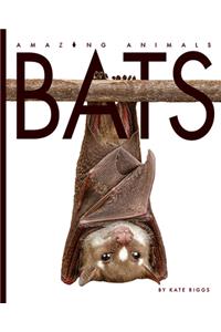 Amazing Animals: Bats