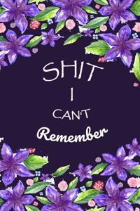 Shit I Can't Remember