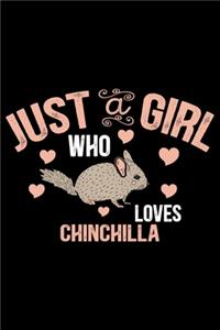 Just a Girl Who Loves CHINCHILLA