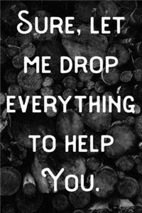 Sure, let me drop everything to help you.