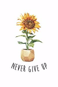 Never Give Up Sun Motivation Summer