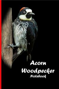 Acorn Woodpecker Notebook