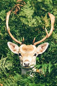 Deer in the Underbrush Journal