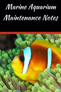 Marine Aquarium Maintenance Notes