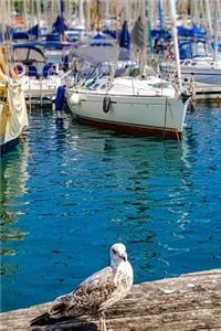 Seagull Waiting in the Marina Journal