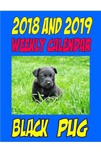 2018 and 2019 Weekly Calendar Black Pug