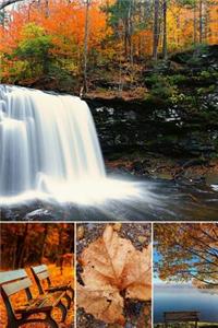 The Beauty in Fall Journal