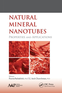 Natural Mineral Nanotubes