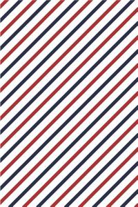 Patriotic Pattern United States of America 05