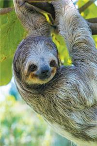 Hanging Sloth Notebook