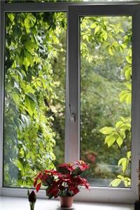 Inside an Ivy Covered Home Journal