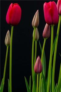 Flowers Notebook