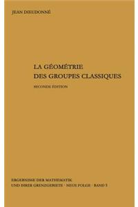 La geometrie des groupes classiques
