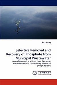 Selective Removal and Recovery of Phosphate from Municipal Wastewater