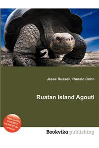 Ruatan Island Agouti