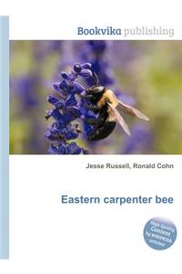 Eastern Carpenter Bee
