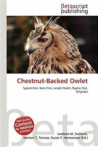 Chestnut-Backed Owlet