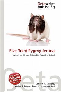 Five-Toed Pygmy Jerboa