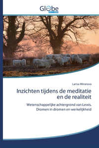 Inzichten tijdens de meditatie en de realiteit