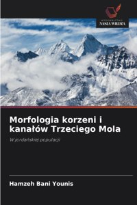 Morfologia korzeni i kanalów Trzeciego Mola