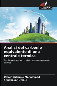 Analisi del carbonio equivalente di una centrale termica