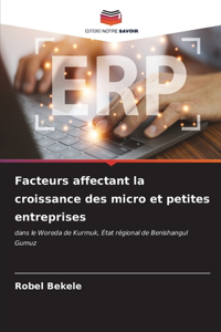 Facteurs affectant la croissance des micro et petites entreprises