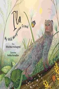 Ila, My Wild Mongoose Friend