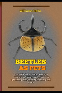 Beetles As Pets