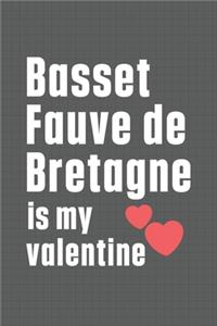 Basset Fauve de Bretagne is my valentine