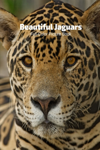 Beautiful Jaguars Full-Color Picture Book