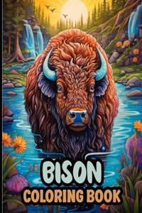 Bison Coloring Book