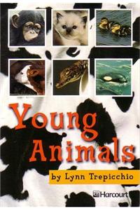 Harcourt School Publishers Trophies: Below Level Individual Reader Grade 1 Young Animals